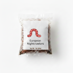 european nightcrawlers (dendrobaena hortensis) 450g